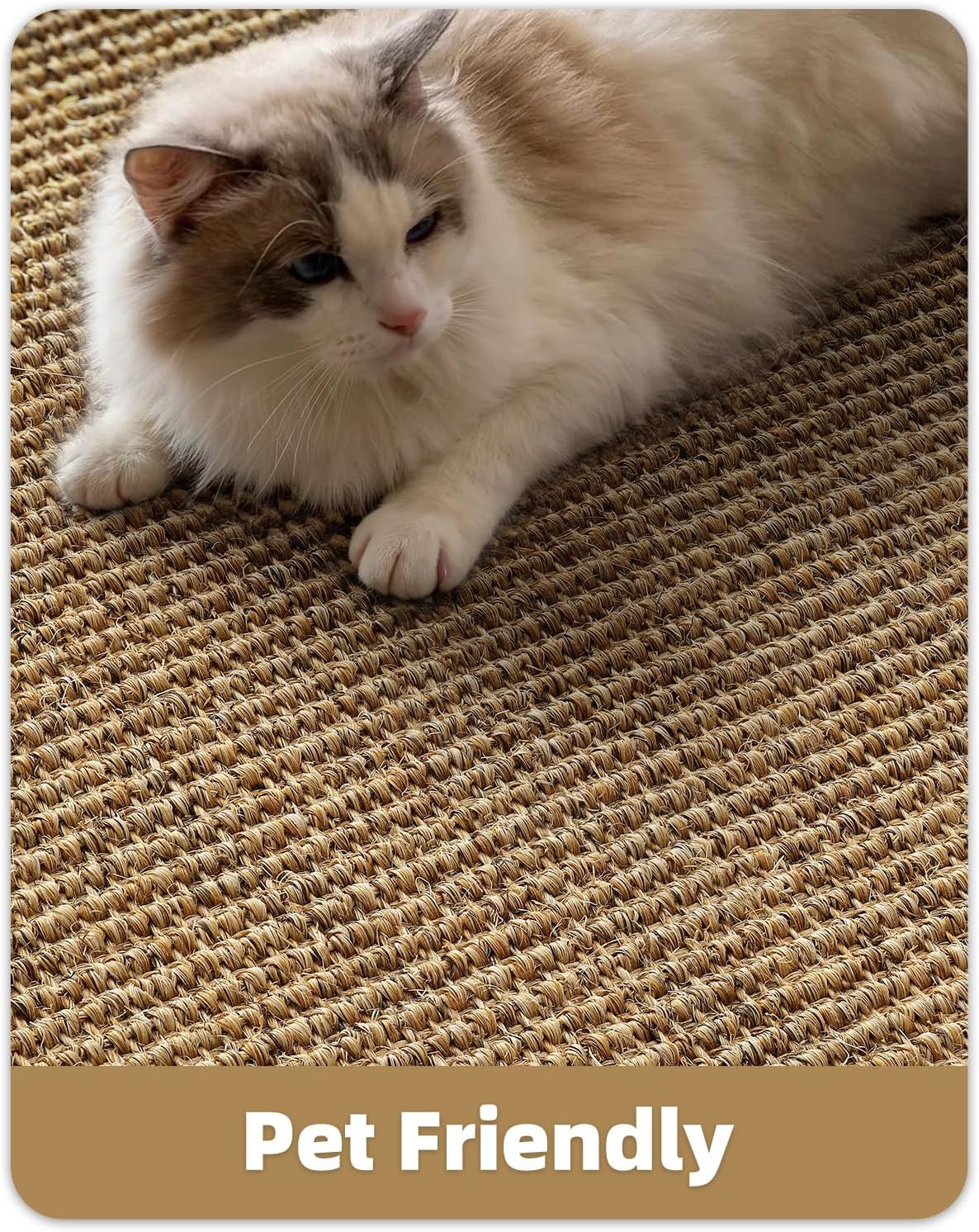 Handwoven Natural Jute Entry Rug